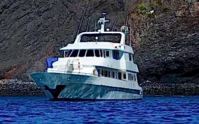 Essential Tips for Your First Yacht Tour