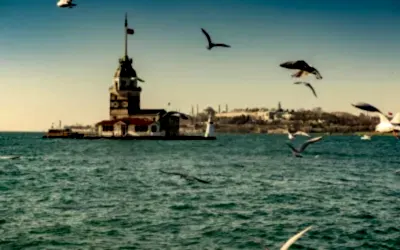 İstanbul da Yunuslar En İyi Nereden İzlenir?